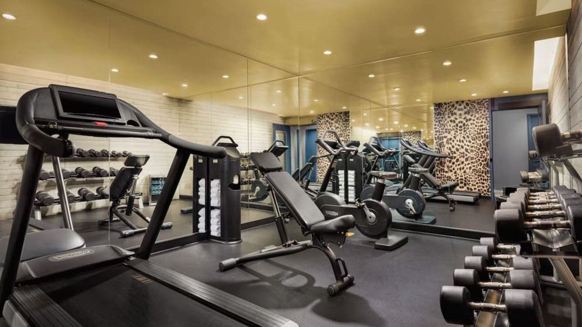 Gym with cardio machines, free weights, and modern equipment at Hotel Hendricks.