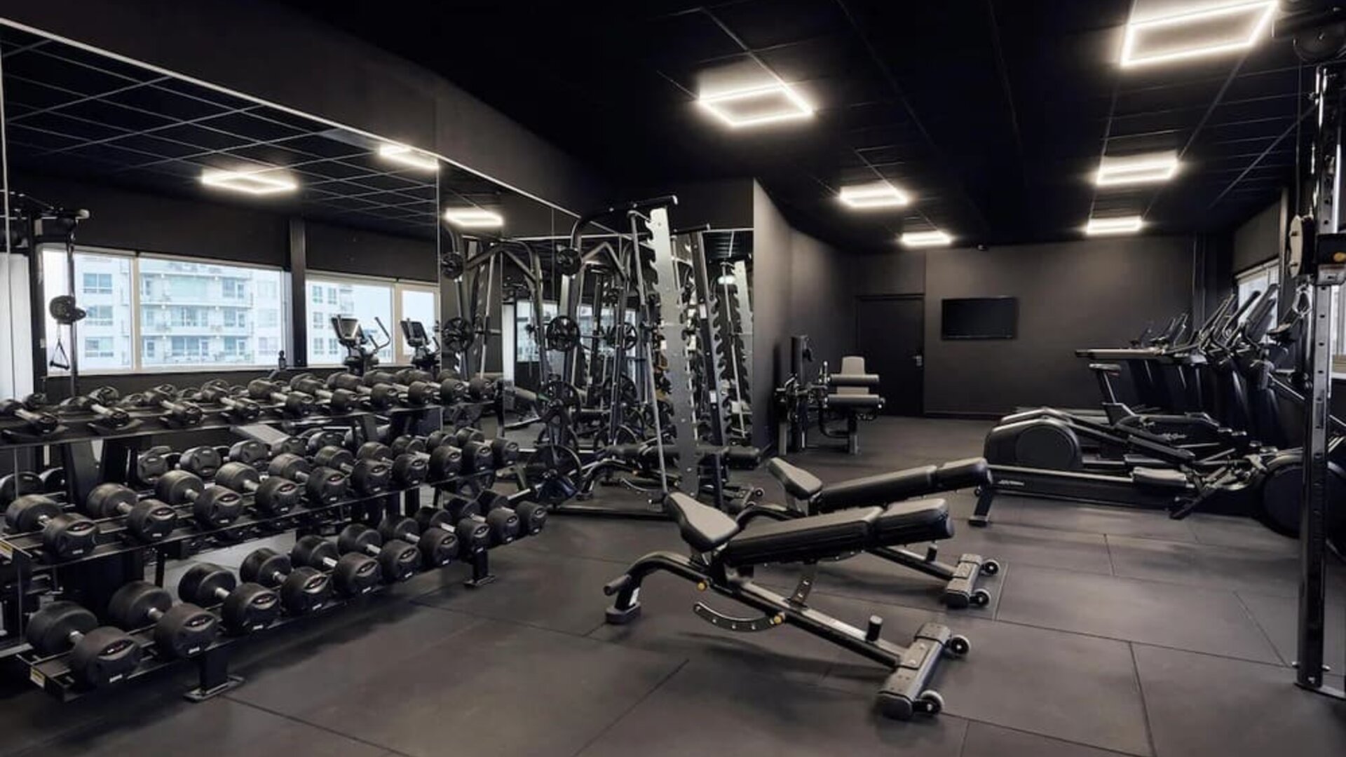 Fitness center with weights at Haven Hotel Rotterdam.