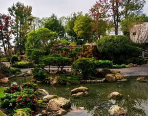 Japanese-style garden with koi pond, stone features, greenery, and landscaped walking paths at DoubleTree By Hilton Los Angeles Downtown.