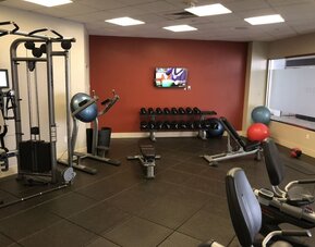 Fitness center with weight machines, dumbbells, exercise balls, and mounted TV at DoubleTree By Hilton Los Angeles Downtown.