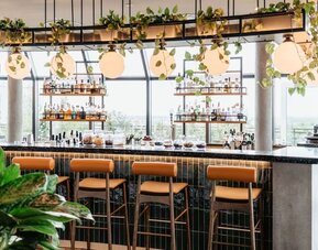 Stylish bar with high stools, hanging globe lights, greenery overhead, and shelves of bottles by large windows