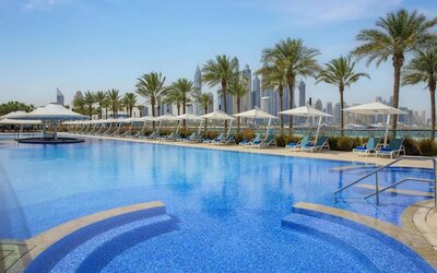 Outdoor pool with curved steps, palm trees, and rows of loungers and umbrellas along the deck