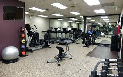 Fitness center with treadmills, cardio equipment, free weights, and mirrored walls at Embassy Suites By Hilton LAX Airport North.