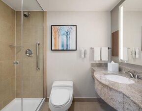Contemporary bathroom with walk-in shower at Hilton Garden Inn New York/West 35th Street.