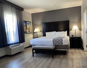 Comfortable king bedroom with natural lighting at La Quinta Inn & Suites By Wyndham Houston Energy Corridor.