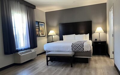 Comfortable king bedroom with natural lighting at La Quinta Inn & Suites By Wyndham Houston Energy Corridor.