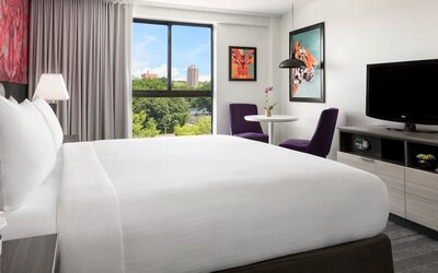 Modern king guest room with colorful artwork and park views at Hotel Studio Allston.