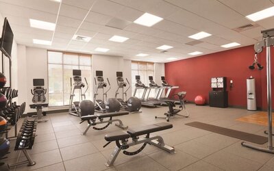 Fitness center with treadmills, weights, exercise benches, and large windows at Hilton Garden Inn Boston Logan Airport.
