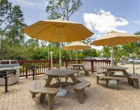 Outdoor picnic and barbecue area with shaded tables and tropical landscaping at Comfort Inn & Suites Port Charlotte-Punta Gorda.