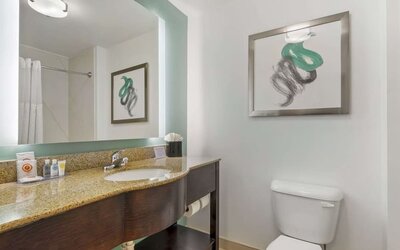 Modern guest bathroom with granite vanity countertop, illuminated mirror, and contemporary décor at Comfort Inn & Suites Port Charlotte-Punta Gorda.