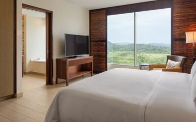 Deluxe King Room with Ocean View, featuring a private bathroom with amenities, a king-size bed, a safe, a desk, a telephone, ironing facilities, a kettle, a coffee maker, a hairdryer, cable TV, and an alarm clock.