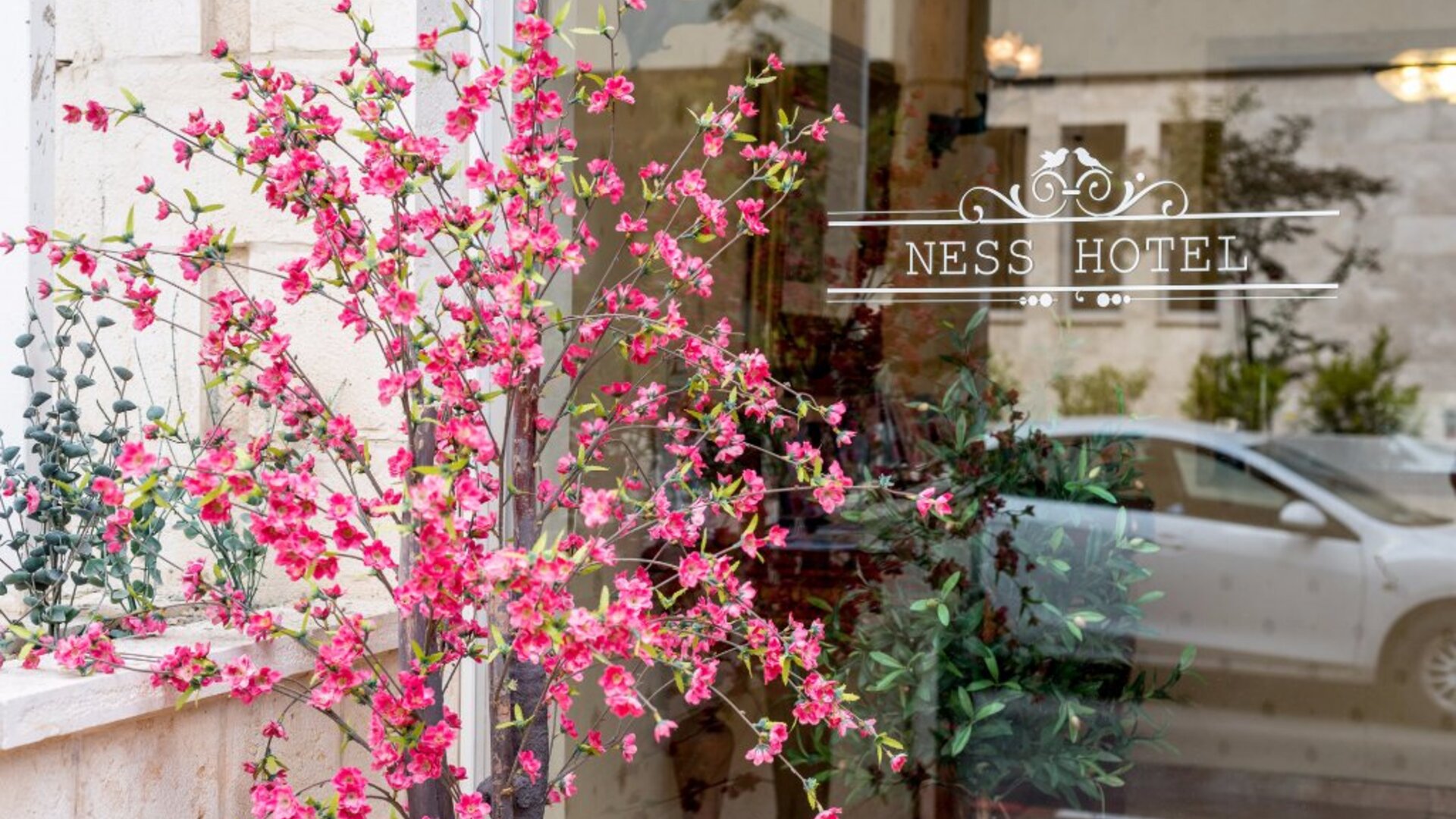 Ness Hotel By The Sea