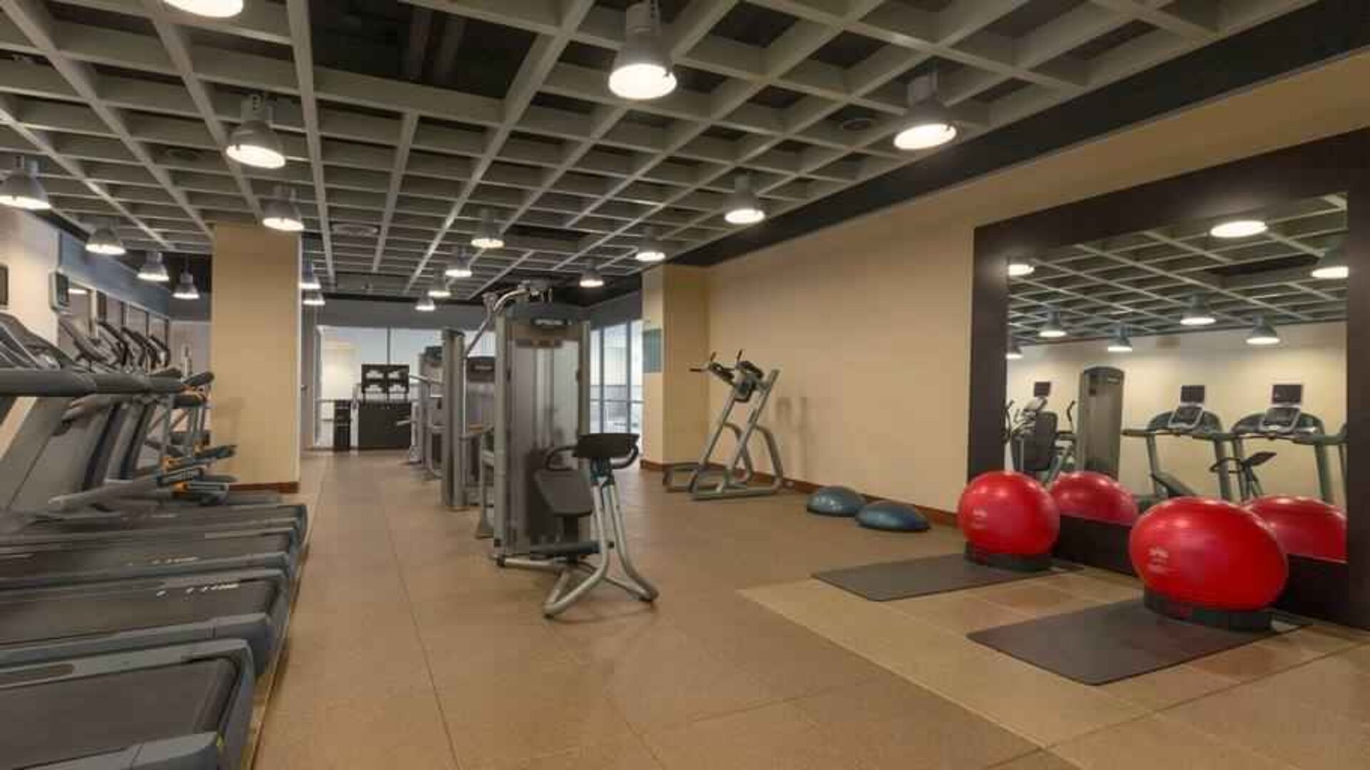 Fitness center with treadmills at the Hilton Baltimore BWI Airport.