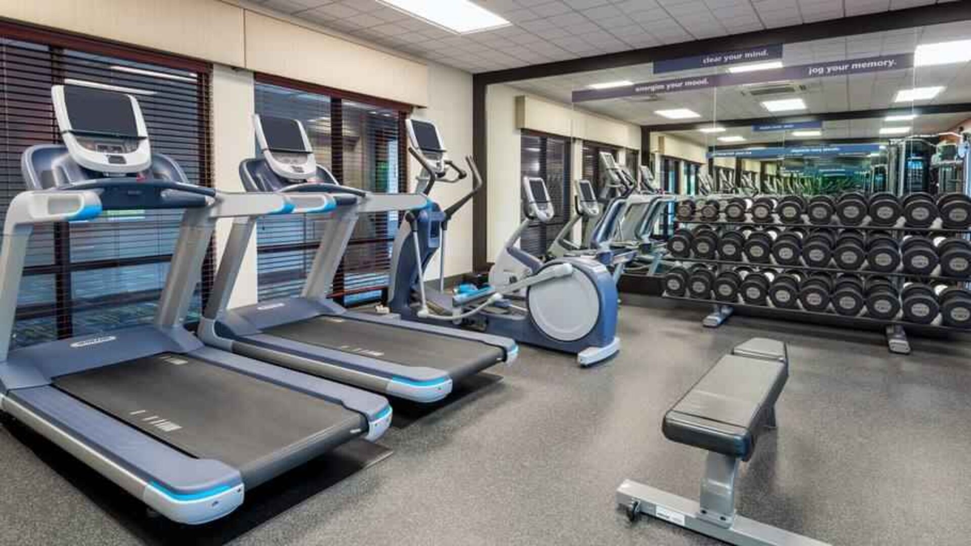 Fitness center with treadmills at the Hampton Inn Springfield South Enfield.