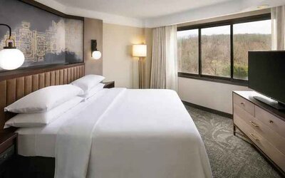 Bright king bedroom with window and TV screen at the Embassy Suites by Hilton Tysons Corner.