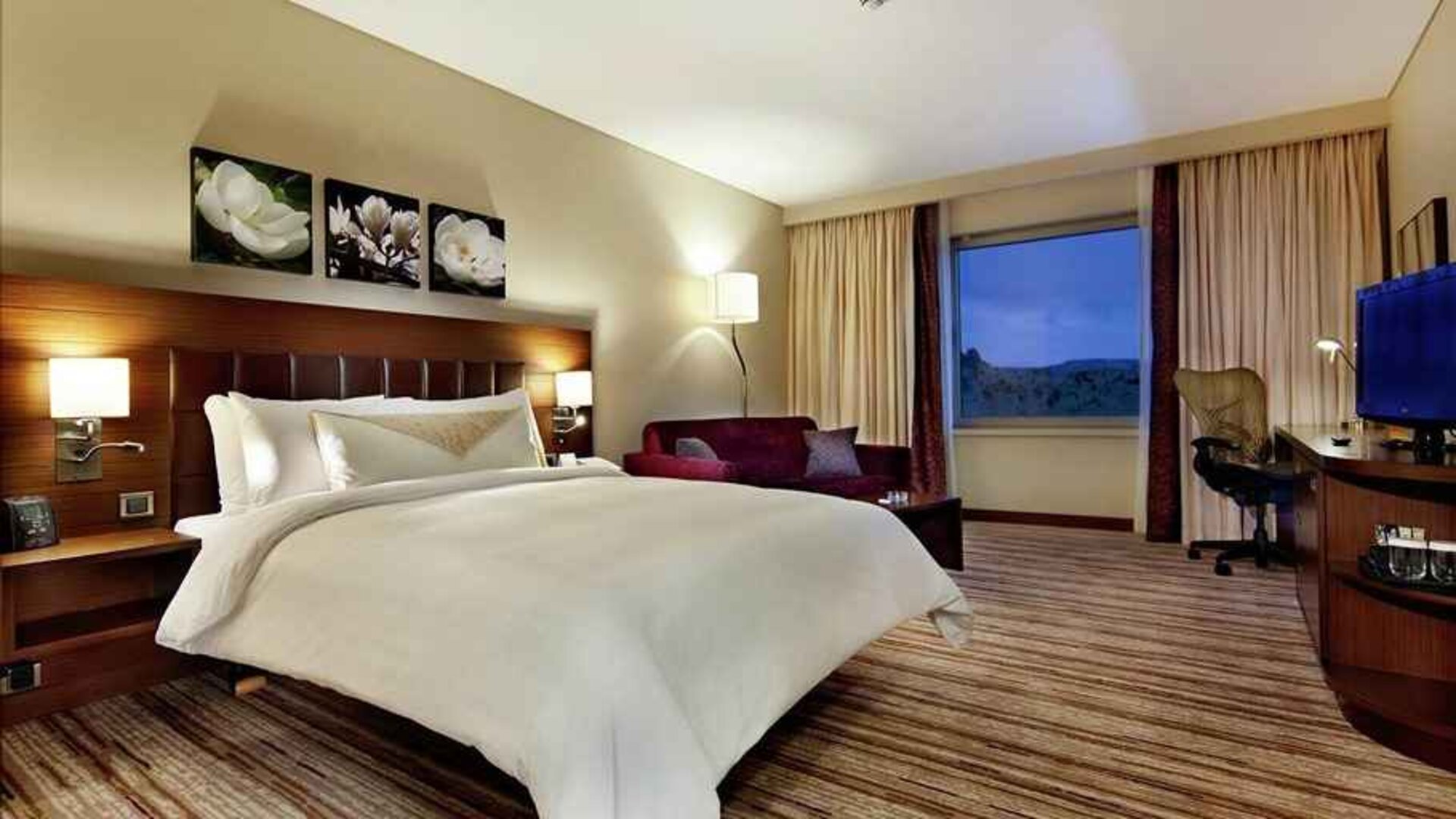 luxurious king room with TV and work desk at Hilton Garden Inn Mardin.