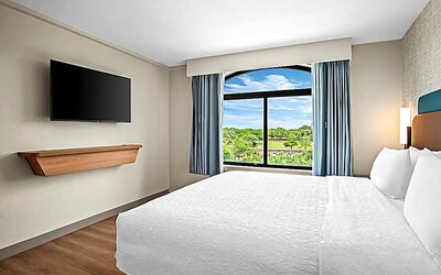 King bed with TV and natural light. 
