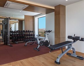 Fitness center at the DoubleTree by Hilton Jaipur Amer.