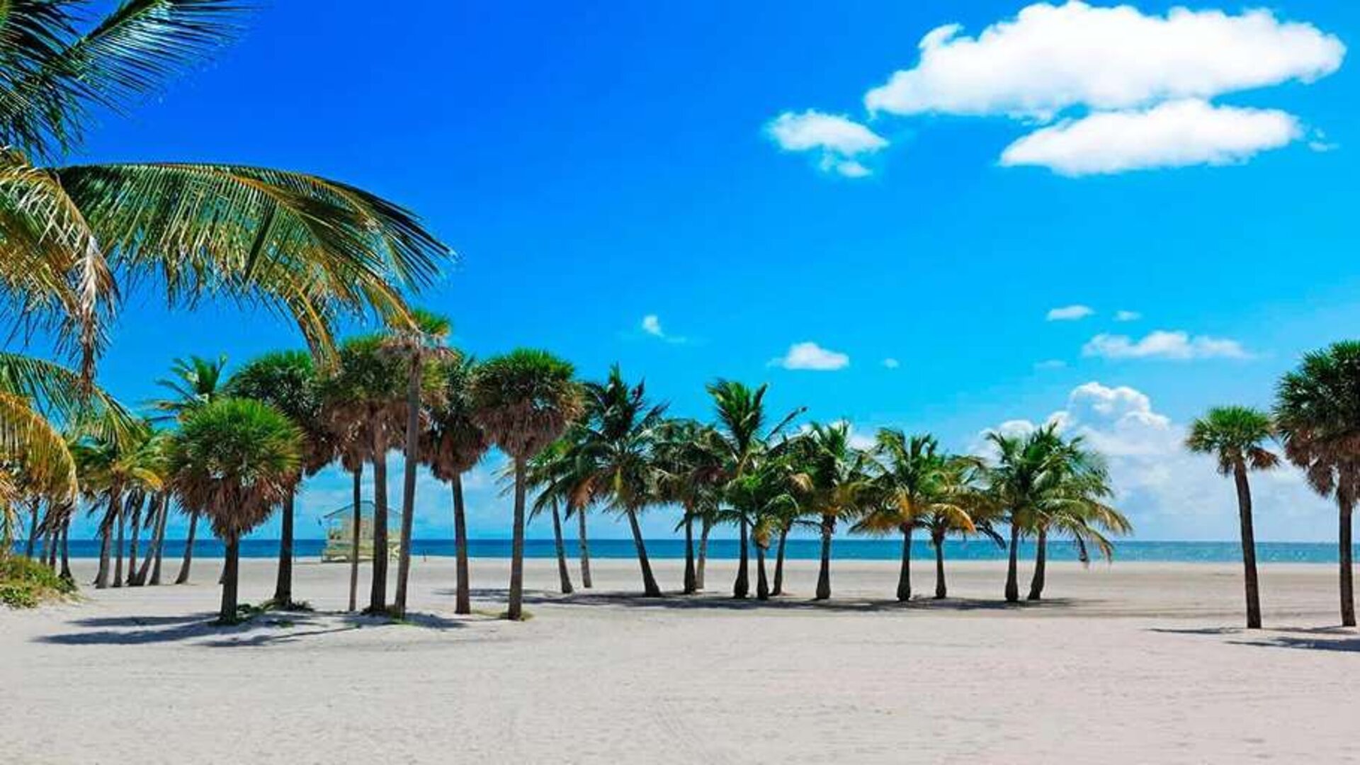 Beach nearby Winter Haven, Autograph Collection.