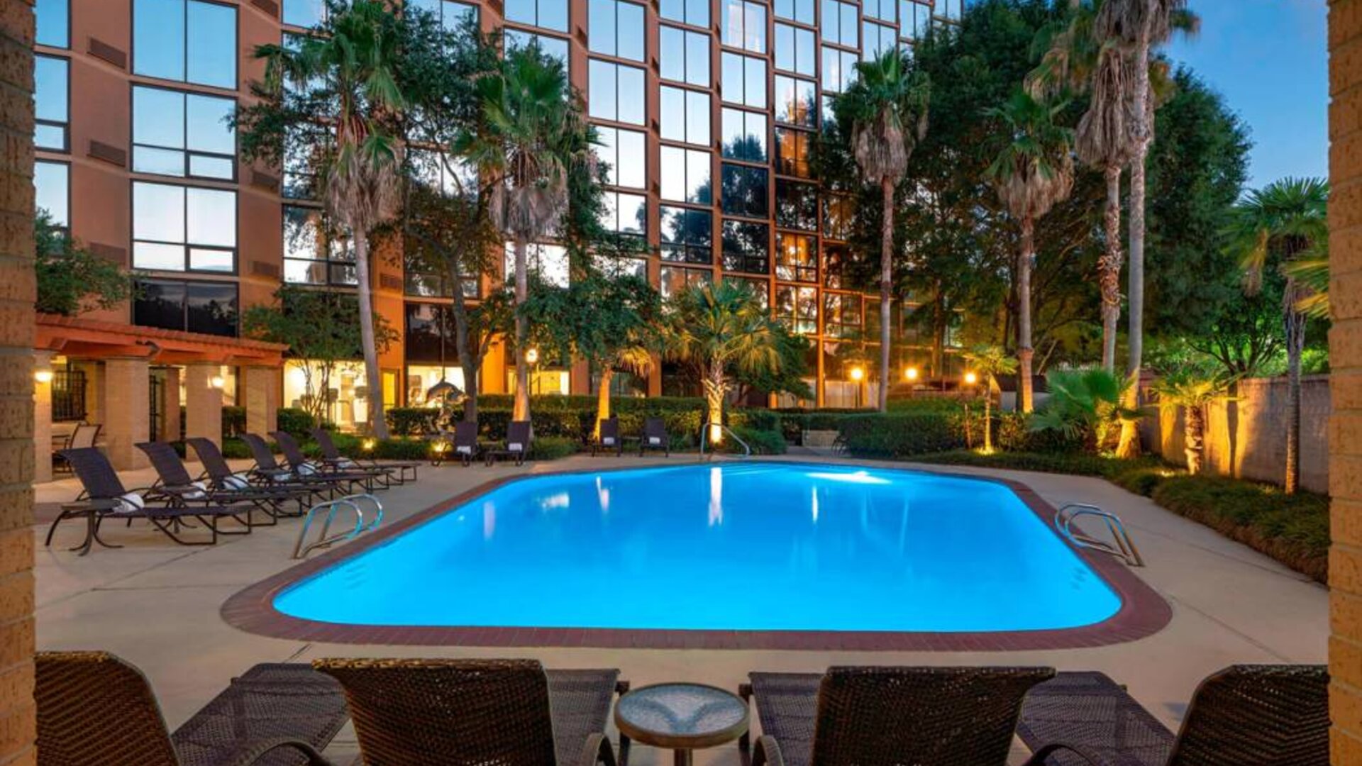 Sheraton Houston Brookhollow Hotel’s outdoor pool, with loungers and plant life nearby.