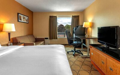Double bed guest room in Comfort Inn Sault Ste. Marie, including a workspace desk and chair.