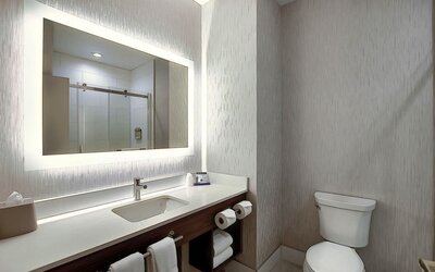 Private guest bathroom with shower at Holiday Inn Express & Suites Airport-Calgary.