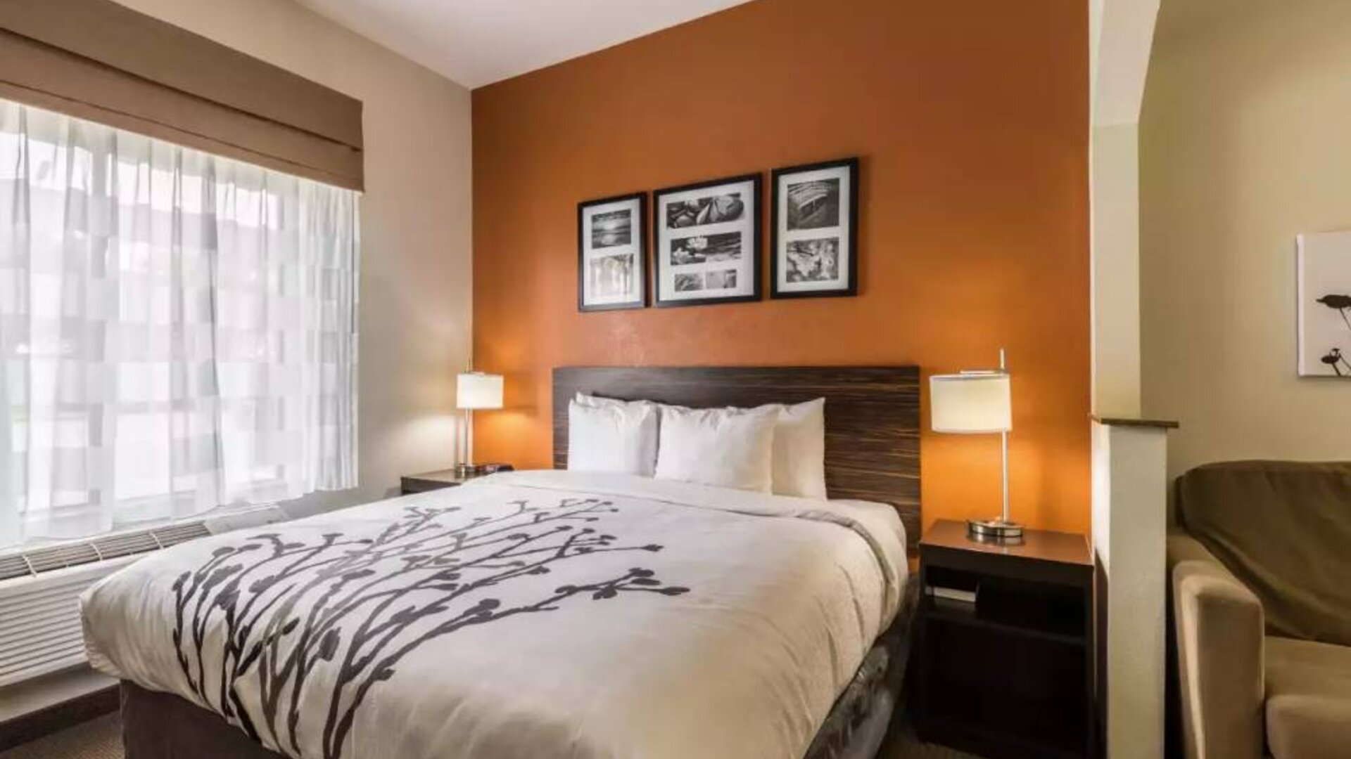 Day use room with natural light at Sleep Inn & Suites Stafford - Sugar Land.