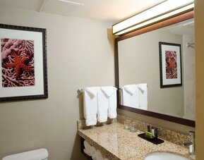 Guest bathroom with shower at Embassy Suites By Hilton West Palm Beach Central.