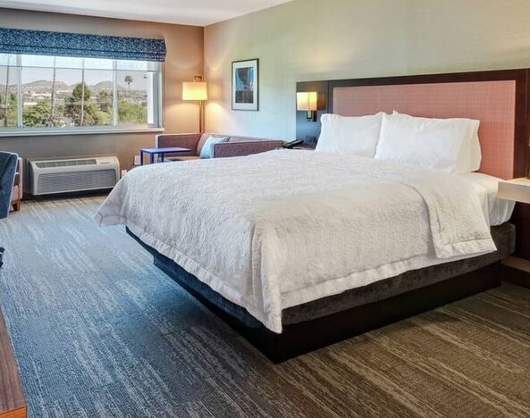 Spacious king bed with TV and natural light at Hampton Inn Vallejo.