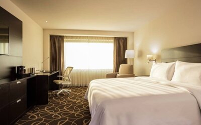 Lovely king bed with lots of natural light at Doubletree By Hilton Toluca.