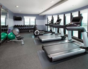 Fitness facility at Four Points By Sheraton San Francisco Airport.
