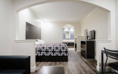 Day use room at Palace Inn TX 249.