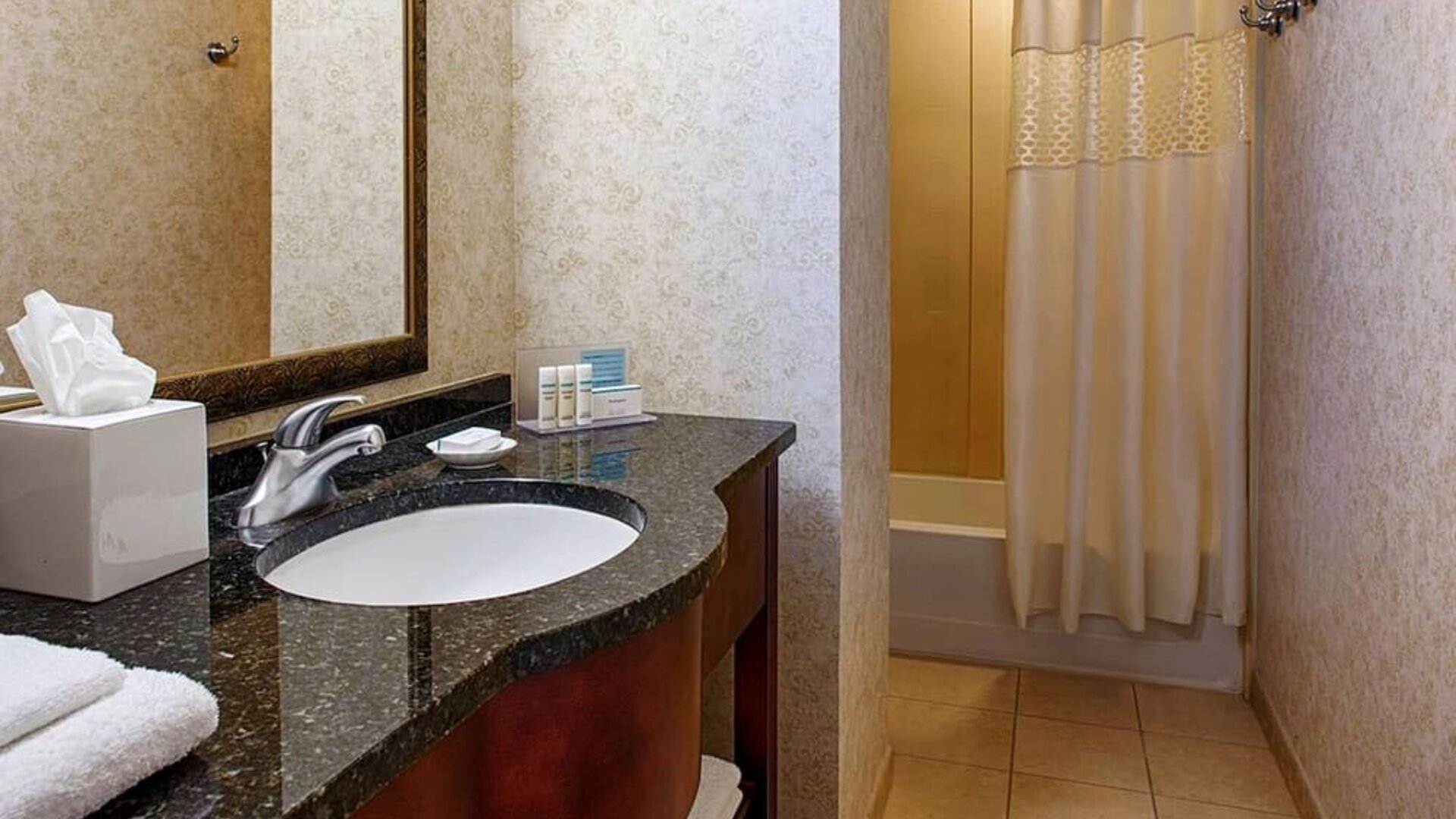 Guest bathroom with shower at Hampton Inn & Suites Birmingham-Downtown-Tutwiler.