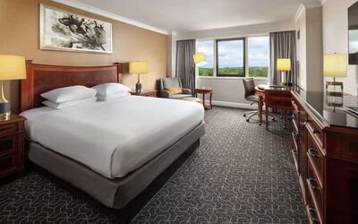Delux king room with natural light at Hilton Short Hills.