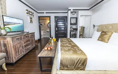 Delux king room with TV at Hotel Croydon.