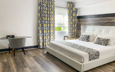 King room with natural light at Catalina Hotel & Beach Club.