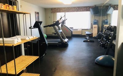 Fitness center available Delux king room bath at Radisson Hotel Schaumburg.