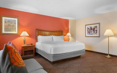 King bed with lounge area at Holiday Inn Express Chicago - Downers Grove.