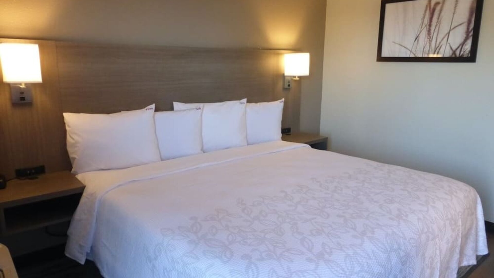 Cozy delux king room at Red Roof Plus Bourbonnais.