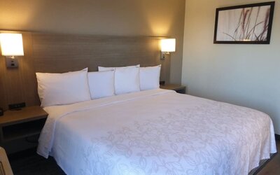 Cozy delux king room at Red Roof Plus Bourbonnais.