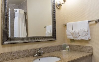 Private guest bathroom with shower at Holiday Inn Aurora North- Naperville.