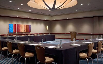 Hotel meeting room, with tables arranged in a U-shape facing a lectern, and seating for over a dozen attendees.
