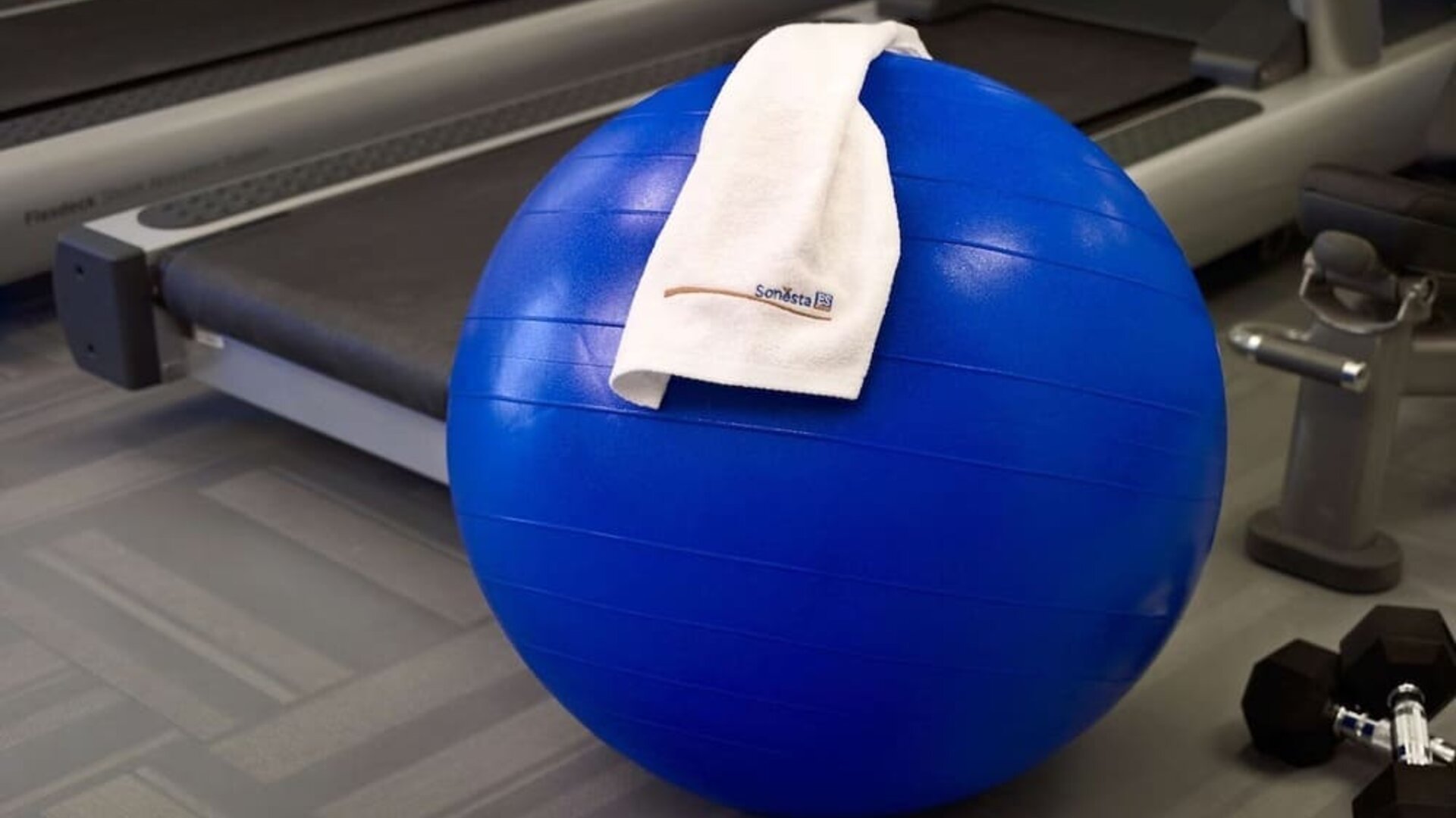 The hotel fitness center has free weights, treadmills, and a bench, as well as towels and gym balls.