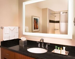 Private guest bathroom with free toiletries at Hilton Minneapolis.