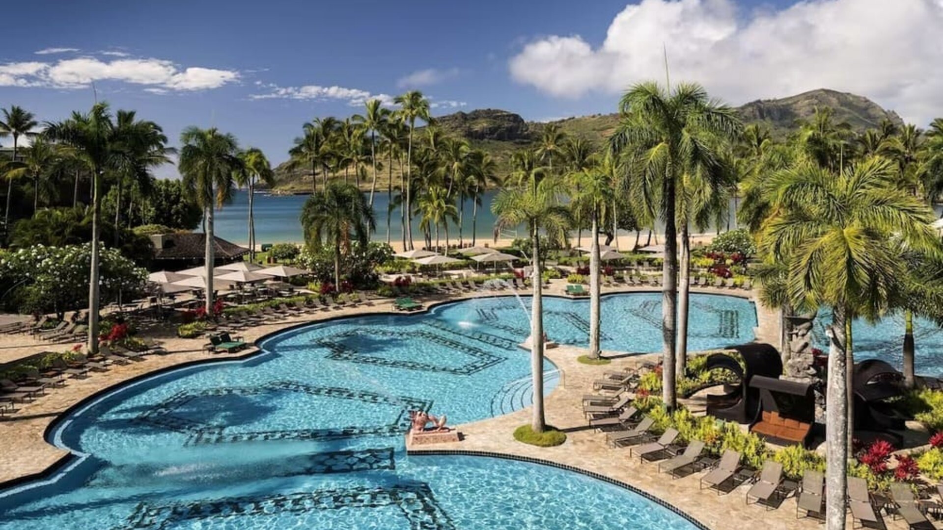 The hotel’s outdoor pool includes sun loungers and tall trees nearby.
