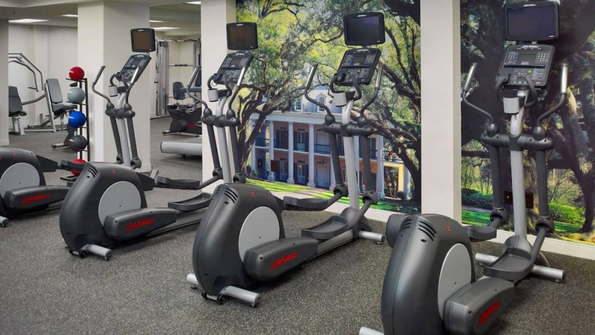 The fitness center in Royal Sonesta New Orleans is equipped with an assortment of exercise machines, and large images of greenery on the walls.