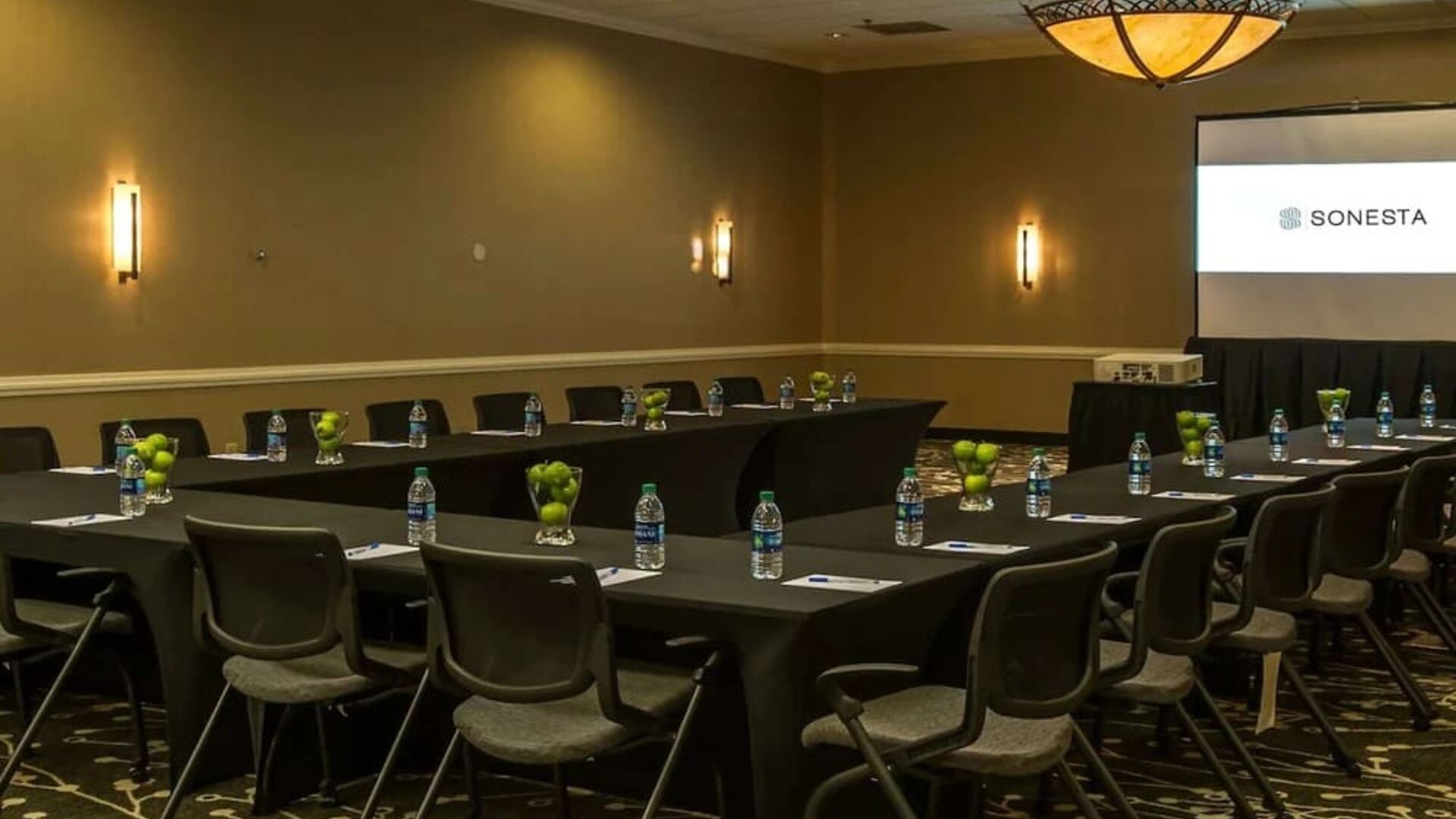 Professional meeting room at Sonesta Atlanta Northwest Galleria.