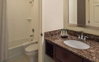 Sonesta Chicago O'Hare Airport Rosemont guest bathroom, furnished with shower and bath, lavatory, and sink.