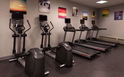 Sonesta Chicago O'Hare Airport Rosemont’s fitness center has artwork on the walls and machines such as treadmills and ellipticals.