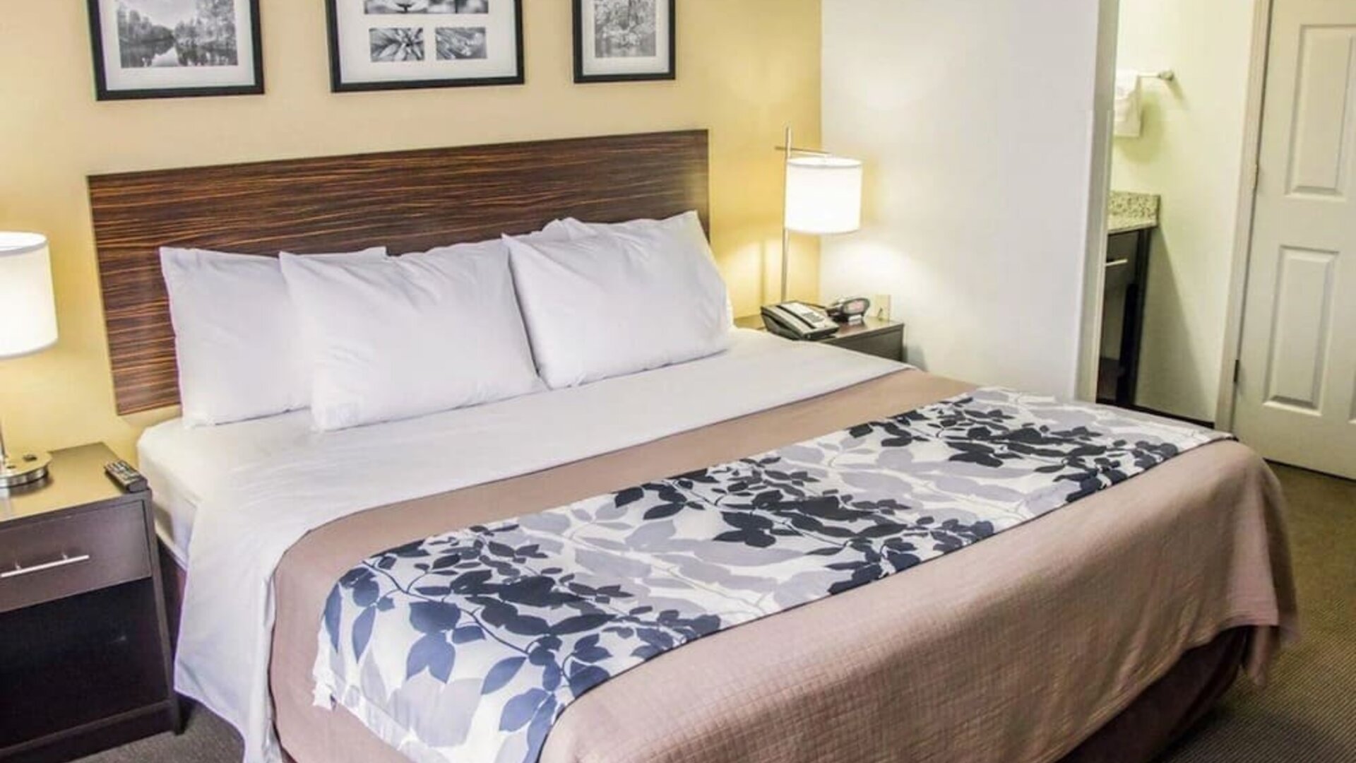 Romantic day room at Sleep Inn Tinley Park.